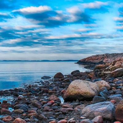 大小单双赚钱平台