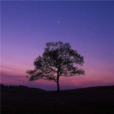 金沙乐娱场app下载手机app下载